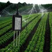 农田土壤水分监测有哪些方法