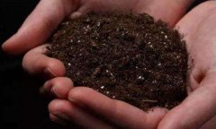 土壤墒情检测仪可以实时监测土壤湿度的情况